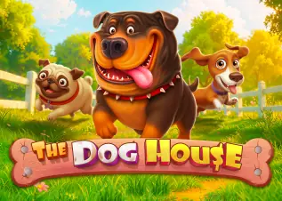 เว็บตรง ลิขสิทธิ์แท้ จากต่างประเทศ The Dog House ทดลองเล่นฟรี